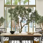 Resort Grecotel Luxme Dama Dama