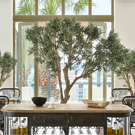 리조트 Grecotel Luxme Dama Dama