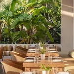 Semesteranläggning (resort) Grecotel Luxme Dama Dama